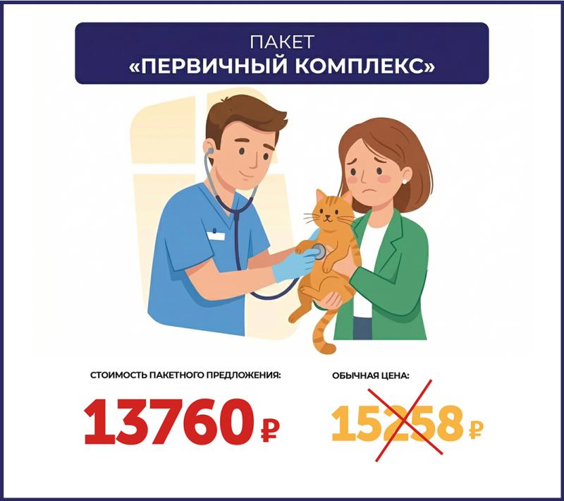 Пакет «Первичный комплекс»