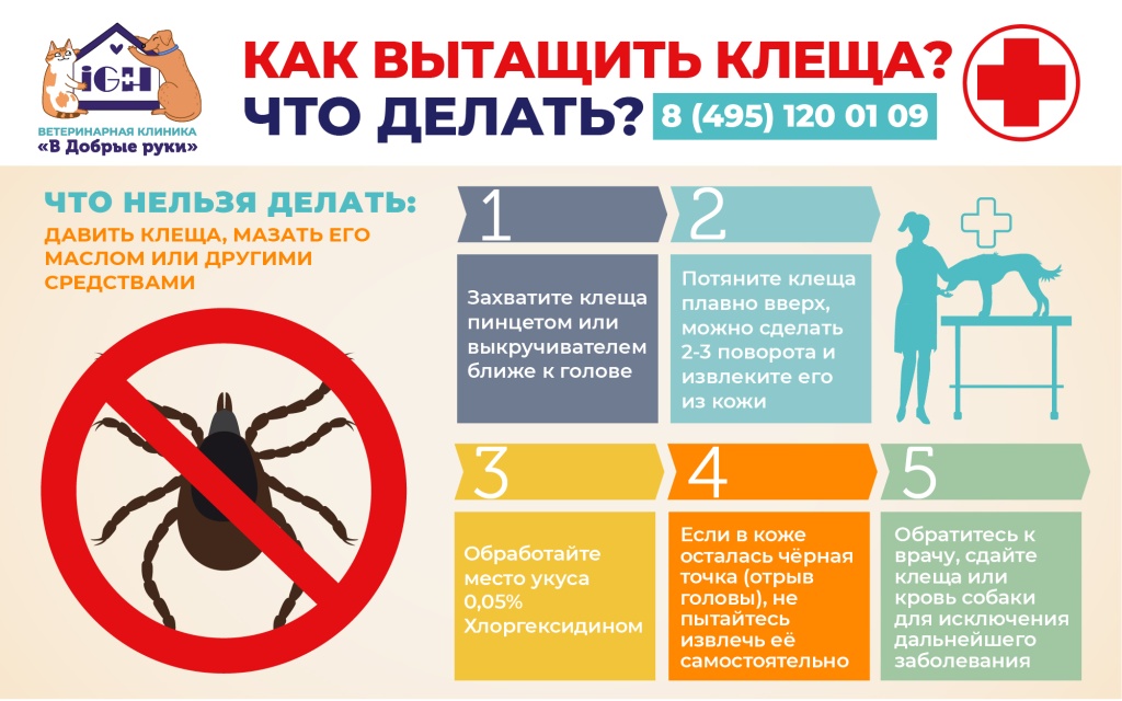 960x600_mite-01.jpg